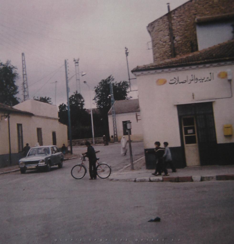 SIDI BEL ABBES CINEMA PALMARIUM.jpg -                                